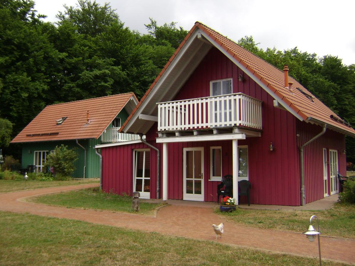 Landgasthof Alter Bahnhof Heyerode 객실 사진